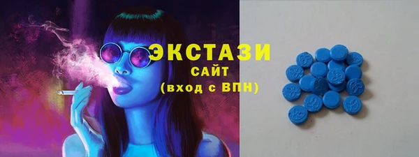 ECSTASY Богородицк